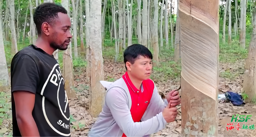 1712823124285099034.png 1712823124285099034.png